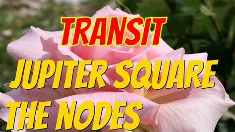You may adopt new spiritual. . Transiting jupiter square north node